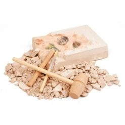 Moses Mes Premiers Fossiles