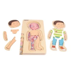 Beleduc Puzzle 29 Pcs - À La Découverte Du Corps Humain -Magasin De Jouets En Bois puzzle a la decouverte du corps humain bois 2