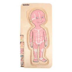 Beleduc Puzzle 29 Pcs - À La Découverte Du Corps Humain -Magasin De Jouets En Bois puzzle a la decouverte du corps humain bois 4