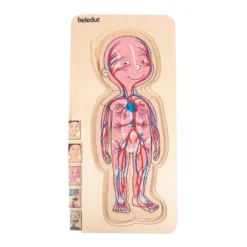 Beleduc Puzzle 29 Pcs - À La Découverte Du Corps Humain -Magasin De Jouets En Bois puzzle a la decouverte du corps humain bois 6