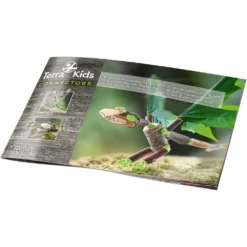 Haba Terra Kids - Dragon -Magasin De Jouets En Bois terra kids dragon bois 5