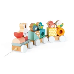 Janod Train Pure à Tirer -Magasin De Jouets En Bois train pure bois 5